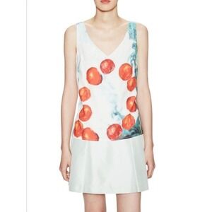 Misha Nonoo‎ Sleeveless Top V-Neck Fruit Print Blouse Casual Size 6